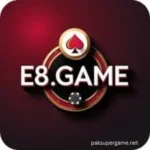 E8 Game